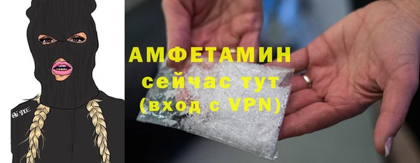 шишки Корсаков