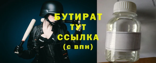шишки Корсаков