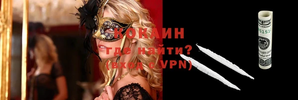 шишки Корсаков
