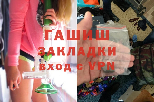 шишки Корсаков