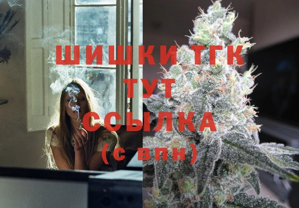 шишки Корсаков