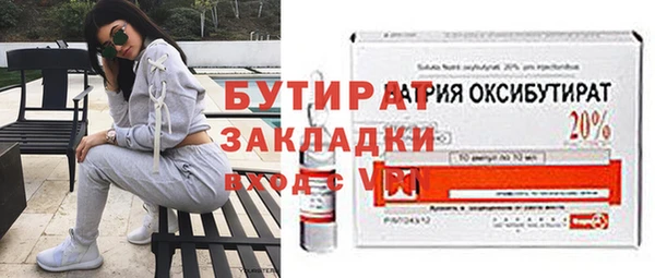 шишки Корсаков
